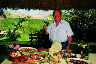  品尝葡萄酒和典型产品 